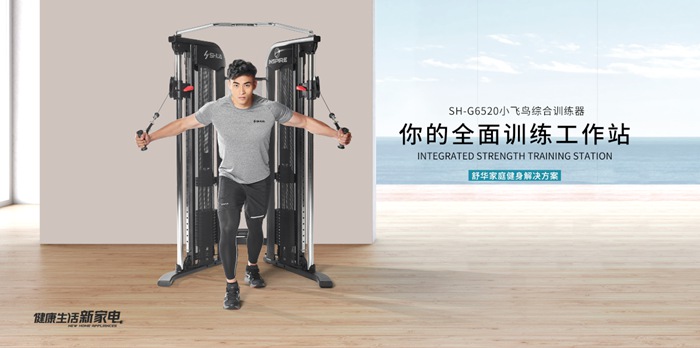 xc sports,xc健身器材-小飞鸟综合训练器SH-G6520 xc sports,xc健身器材-小飞鸟综合训练器SH-G6520